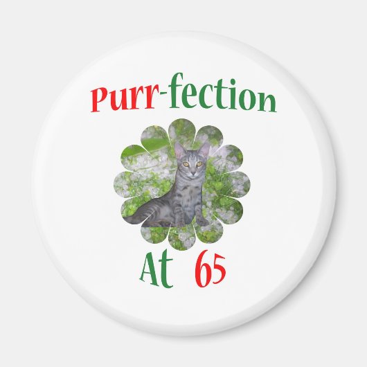 65 Gesponnen-Fection Magneet (Voorkant)