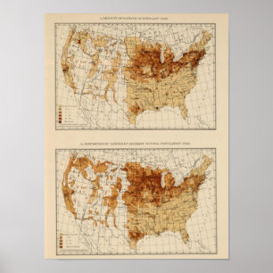 65 Natives Duitsland 1900 Poster