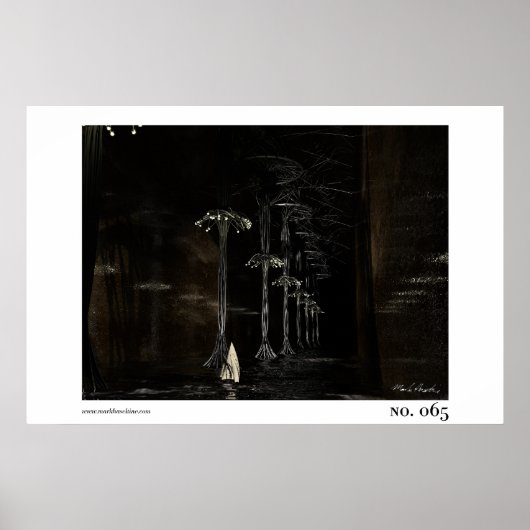 65 POSTER (Voorkant)