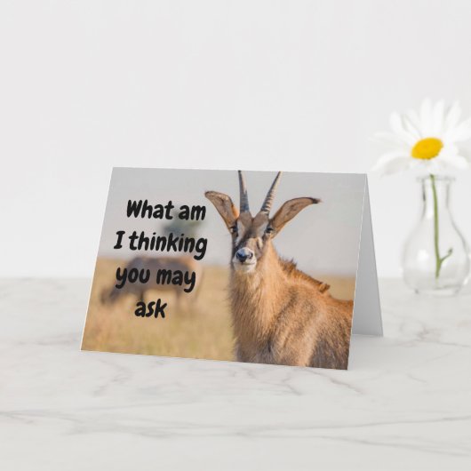 "65e BIRTHDAY HUMOR VIA ANTELOPE Card Kaart (Kleine Plant)