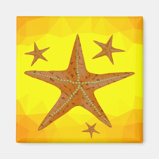 6616Starfish Magneet (Voorkant)
