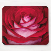 6621 - Rode, witte en roze roos Muismat (Voorkant)