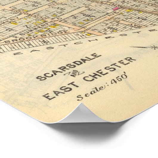 6667 Scarsdale, Oost Chester Poster (Hoek)