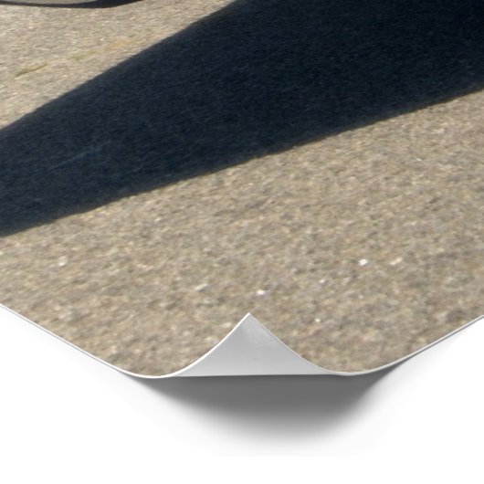 66 Chevelle ss Poster (Hoek)