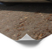 "66 Mustang Cabriolet Poster (Hoek)