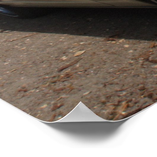 "66 Mustang Cabriolet Poster (Hoek)