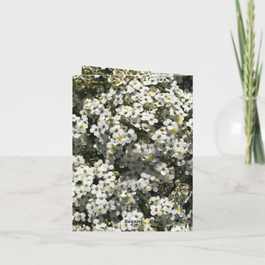 66e Jubileum bewerkbaar Kaart (Achterkant)