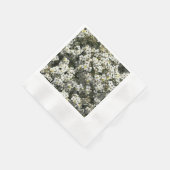 66e Jubileum Servet (Hoek)