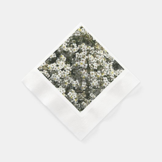 66e Jubileum Servet (Hoek)