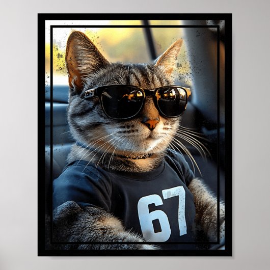 67 And Still Cool Funny Birthday Meme Cat Poster (Voorkant)