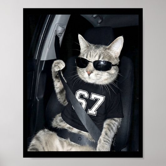 67 Cat Wearing Sungles Gen Alpha Funny Six Seven 6 Poster (Voorkant)