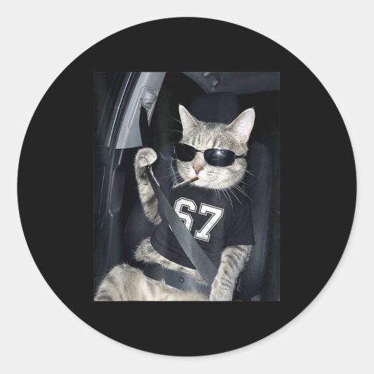 67 Cat Wearing Sungles Gen Alpha Smoking Cat  Ronde Sticker (Voorkant)