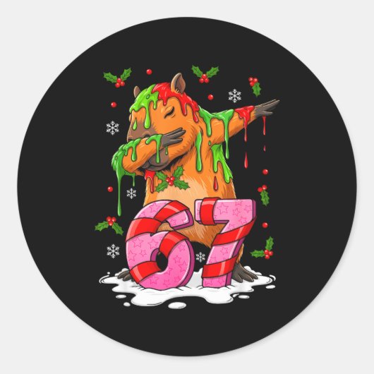 67 Christmas Funny 67 Brainrot Youth Kids Capybara Ronde Sticker (Voorkant)