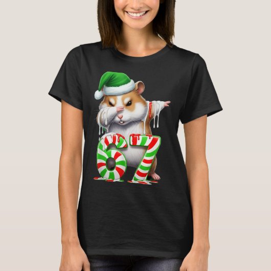 67 Christmas Funny 67 Brainrot Youth Kids Hamster T-shirt (Voorkant)