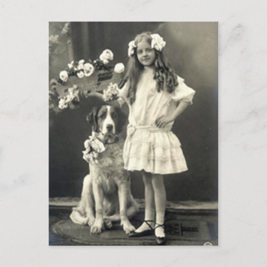 67 dieren briefkaart (Voorkant)