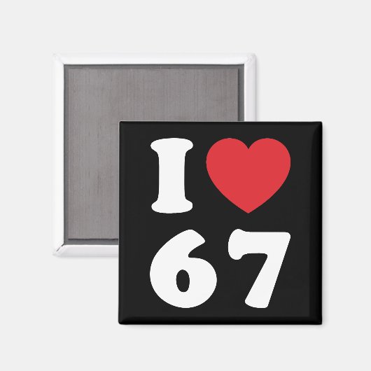 67 Funny Meme I Love Six Seven 67th Birthday Magneet (Voorkant / Achterkant)