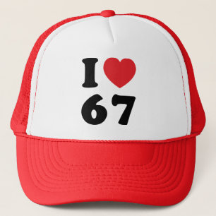 67 Funny Meme I Love Six Seven 67th Birthday Trucker Pet