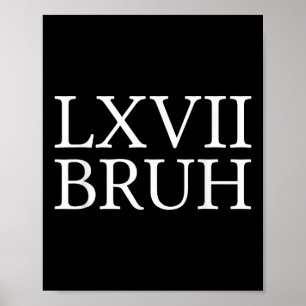 67 Geschiedenis Meme Zes Zeven Bruh Grappige Gesch Poster