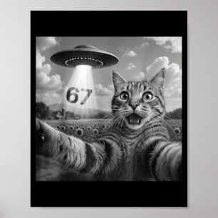 67 Kat Selfie Met Alien Ufo's Grappige Kat Zes Zev Poster