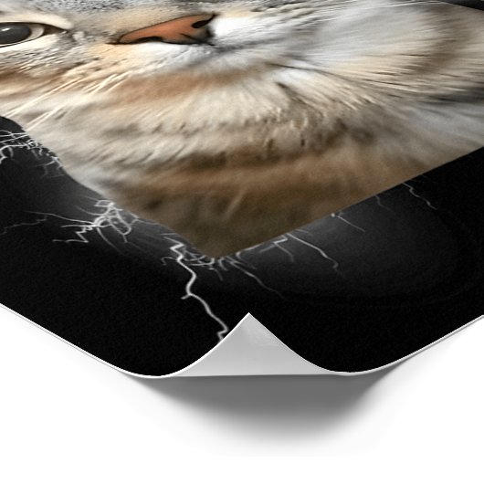 67 Meme Cat Howling At Moon Brainrot Funny 6 7 Poster (Hoek)