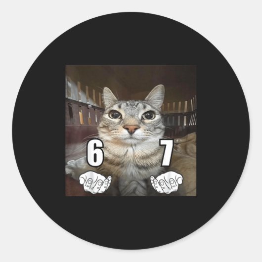67 Meme Funny Cat Six Seven Meme 6 7  Ronde Sticker (Voorkant)