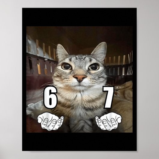 67 Meme Grappige Kat Zes Zeven Meme 6 7  Poster (Voorkant)