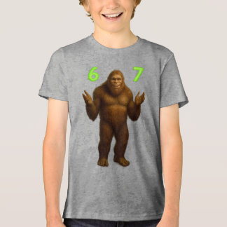 67 Meme Zes Zeven Bruh Bigfoot | Custom 6-7 Tri-Blend Shirt