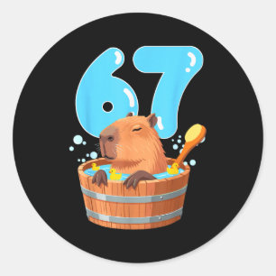 67 Six Seven 6-7 Capybara Grappige Tiener Kinderen Ronde Sticker
