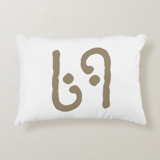 69 ACCENTKUSSEN ACCENT KUSSEN (Voorkant)