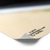 "69 CHEVELLE POSTER (Hoek)