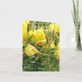 69e Jubileum bewerkbare Kaart (Achterkant)