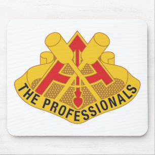 69e USAFAD Professionals Insignia Muismat