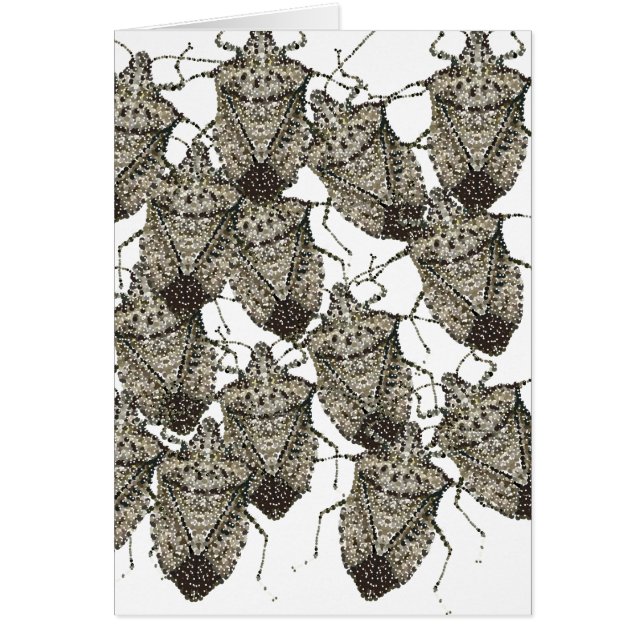 6-07-14 stinktbugs rev.png (Voorkant)