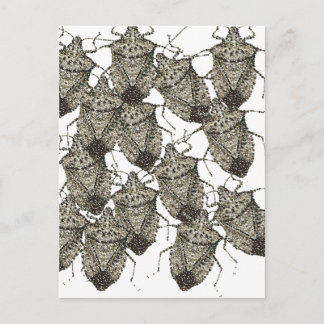 6-07-14 stinktbugs rev.png briefkaart