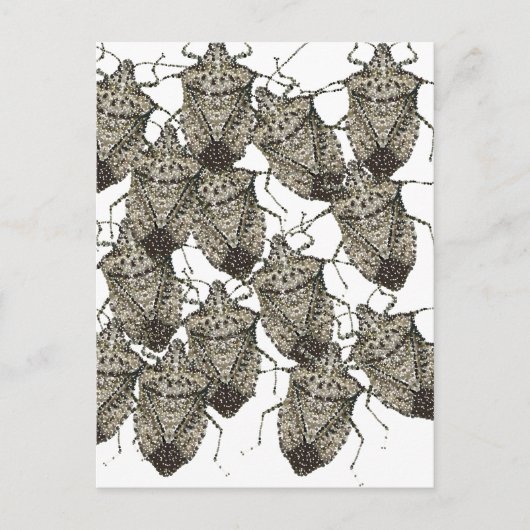6-07-14 stinktbugs rev.png briefkaart (Voorkant)