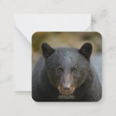 6,4 cm x 6,4 cm flat-note card notitiekaartje (Voorkant)