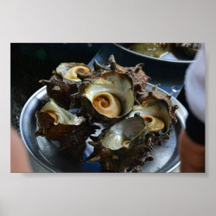 6×4 Haenyeo Sora Conch Oogst Foto Print