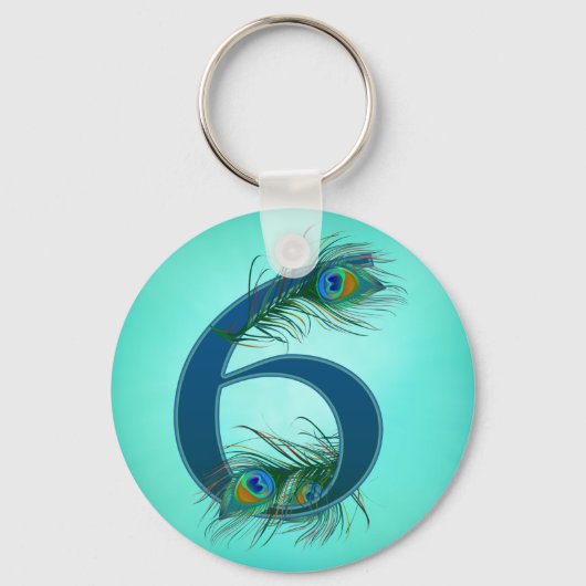6 / 6e / 6e Jubileum / nummer 6 Sleutelhanger (Voorkant)