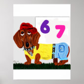 6 7 Dachshund in funny clothes  Poster (Voorkant)