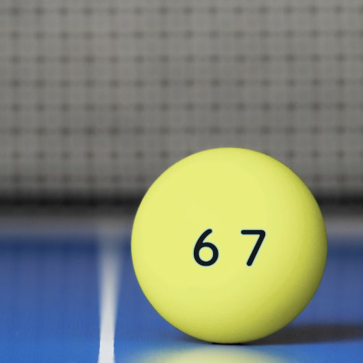 6 7 Six Seven Epic Lit Pingpongbal (Net)