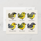 6 Baarbare Warblers Briefkaart (Voorkant / Achterkant)