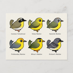 6 Baarbare Warblers Briefkaart