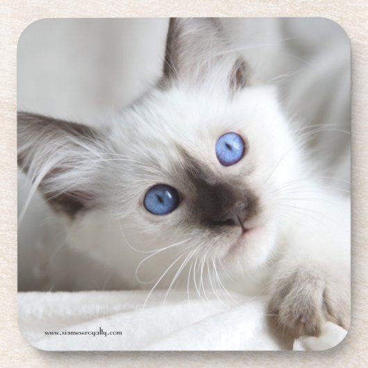 6 Balinese harde onderzetters met kurk achterzijde (Voorkant)