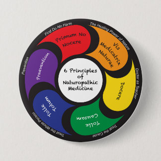 6 Beginselen van de geneeskunde in naturopathie -  Ronde Button 7,6 Cm