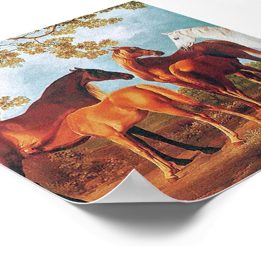 6 bis Mares en Foals Poster (Hoek)