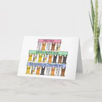 6 de Verjaardag van januari, de Leuke Katten van
