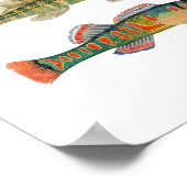 6 Donkere zoetwatersoorten Poster (Hoek)