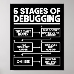 6 Fasen van het Zuiveren programmamodel Poster