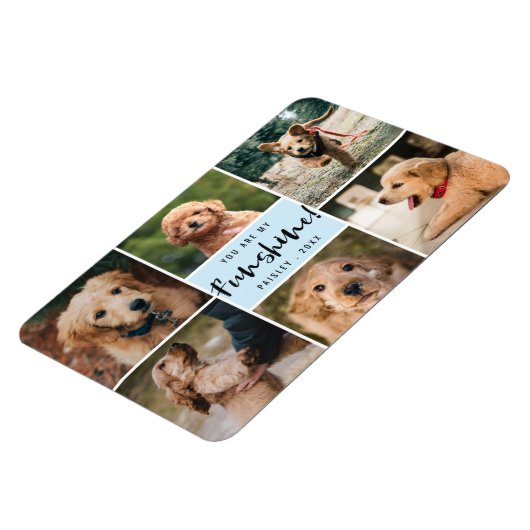 6 Foto-collage U bent mijn Funshine | Blauw Pet Magneet (Linkerzijde)