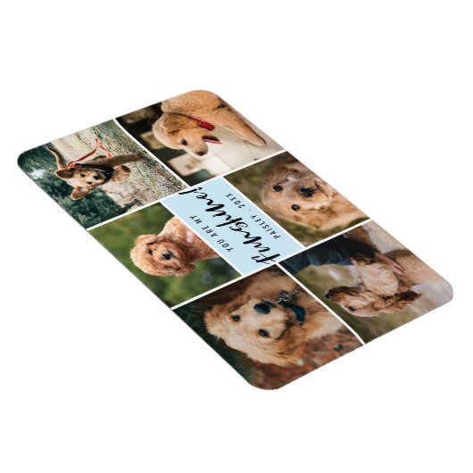 6 Foto-collage U bent mijn Funshine | Blauw Pet Magneet (Rechterzijde)